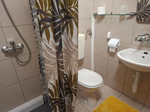 a bathroom with a toilet and a sink at Sandra Apartmani 3 in Zaostrog