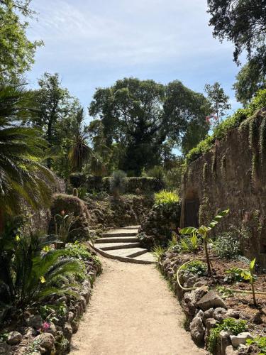 Light-Filled Antigone Oasis