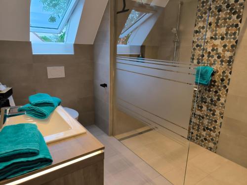 a bathroom with a glass shower and a sink at Landgasthaus Jägerhof in Absberg