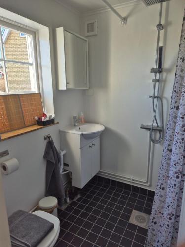 a small bathroom with a sink and a toilet at lillstugan in Avesta