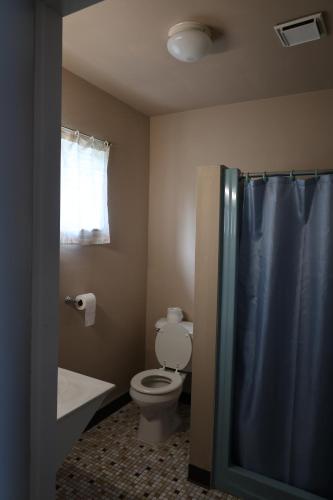 a bathroom with a toilet and a blue shower curtain at Starlite Motel in Heath