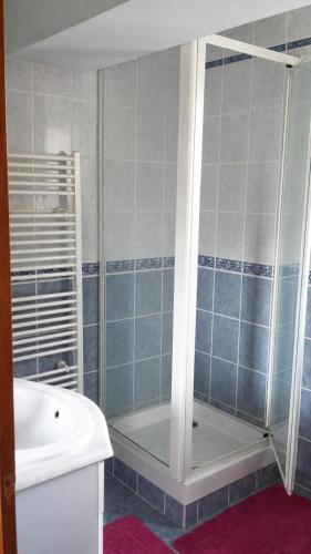 a bathroom with a shower and a sink at Le p'tit bourquin in Bourg-Fidèle