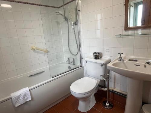 a bathroom with a toilet and a shower and a sink at Wren Cottage in Cowbridge