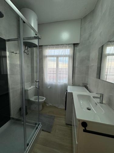 a bathroom with a shower and a sink and a toilet at SotQui Cedeira in Cedeira