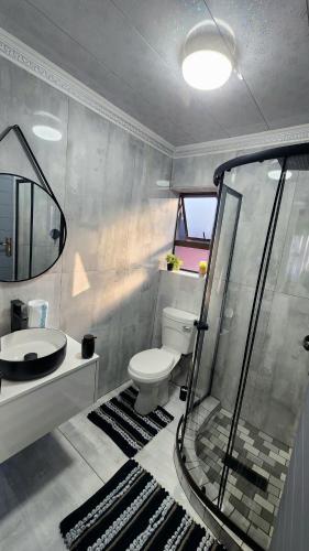 a bathroom with a shower and a toilet and a sink at Blairgowrie Skyline in Johannesburg