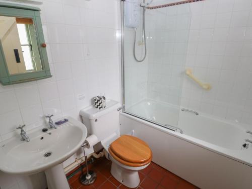 a bathroom with a toilet and a sink and a shower at Swallow Cottage in Cowbridge