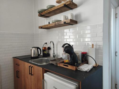 a kitchen counter with a sink and a mixer at Cozy 5 in Belgrade