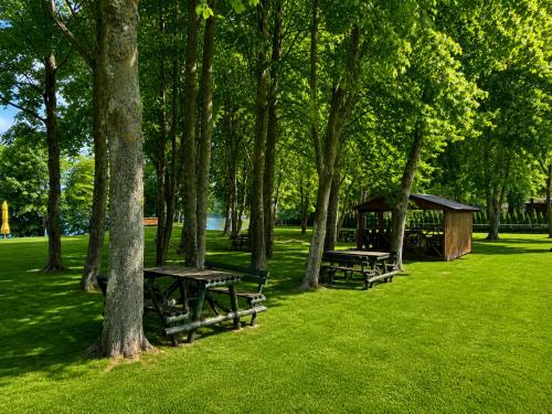 a group of picnic tables in a park with trees at Marių įlanka camping in Marijampolė