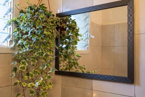 a mirror hanging on a wall with a plant at Green Emerald in Haifa