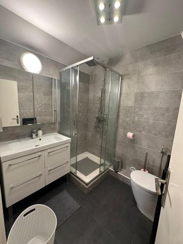 a bathroom with a shower and a toilet and a sink at Spacieuse et agréable à séjourner in Garges-lès-Gonesse
