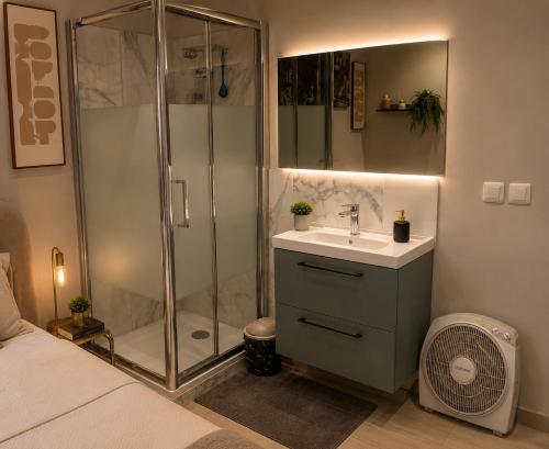a bathroom with a shower and a sink at Elegancia del JJM in Annemasse