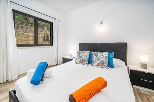 Madalena Apartament