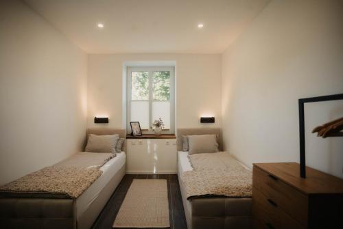 a bedroom with two beds and a window at Villa Medicus in Dessau