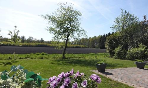a garden with flowers and a lake in the background at Vechtdalchalet, De Wilg in Rheezerveen