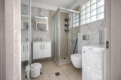a bathroom with a shower and a toilet and a sink at Eliza Meraki in Ofrínion