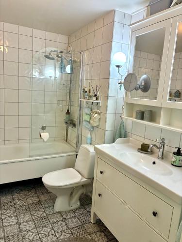 a bathroom with a toilet and a sink and a shower at Home between flights Gardermoen in Jessheim