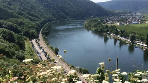 a river with a bunch of cars parked on the side at Ferienweingut Haus Christa in Briedern
