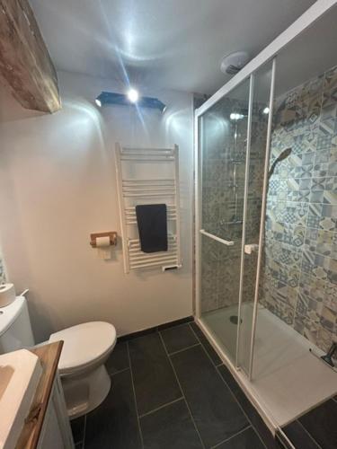 a bathroom with a shower and a toilet and a sink at Chambres d'hôtes de l'encabanée in Saint-Paul