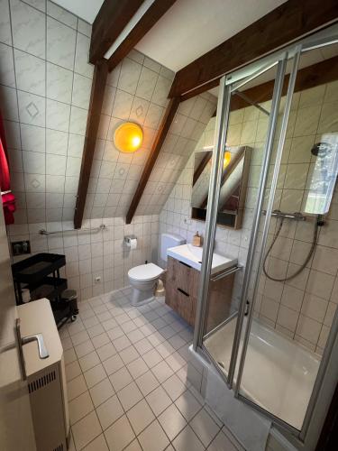 a bathroom with a shower and a toilet at Ferienhaus Amrhein in Siegsdorf