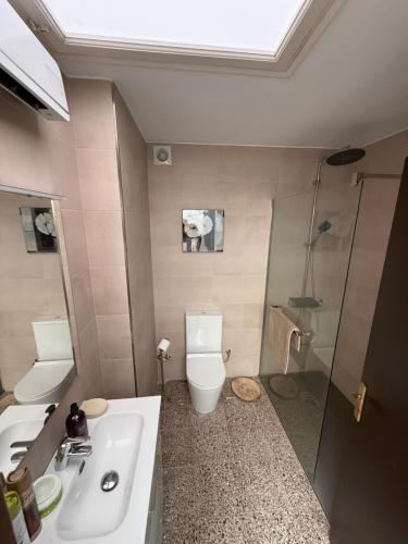 a bathroom with a toilet and a sink and a shower at Casa con encanto en Darnius in Darnius
