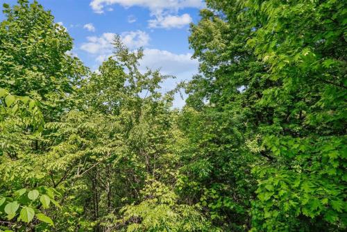 Fox Ridge #37 photo 62