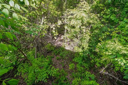 Fox Ridge #37 photo 63