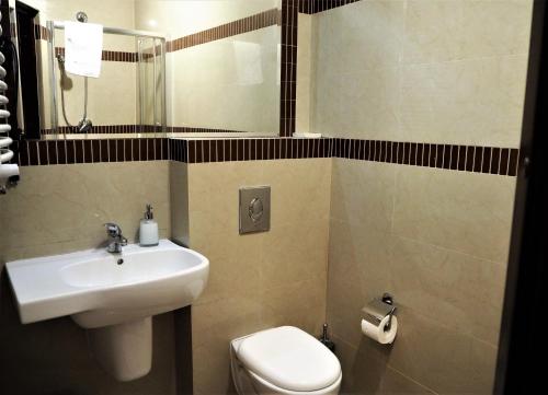 La salle de bains est pourvue d'un lavabo et de toilettes. dans l'établissement Villa Masoneria, à Łódź