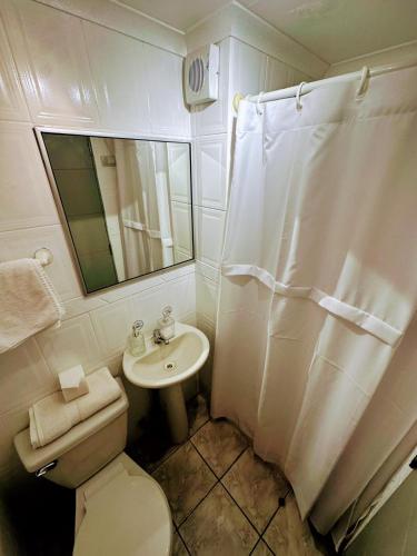 a bathroom with a toilet and a sink and a shower at Hotel Terra Iquique in Iquique