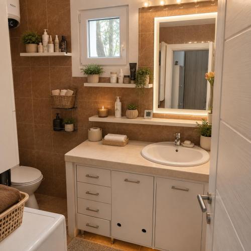 a bathroom with a sink and a mirror and a toilet at Garden lux 1 in Belgrade