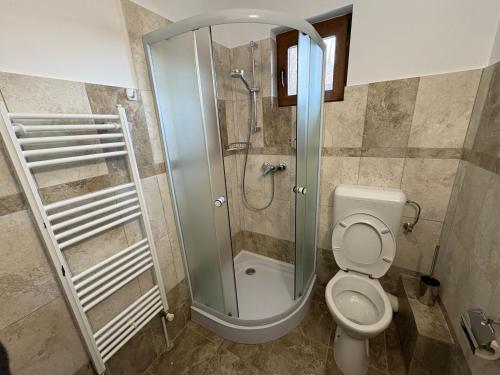 a bathroom with a shower and a toilet at Casa Sf Nicolae in Sinaia