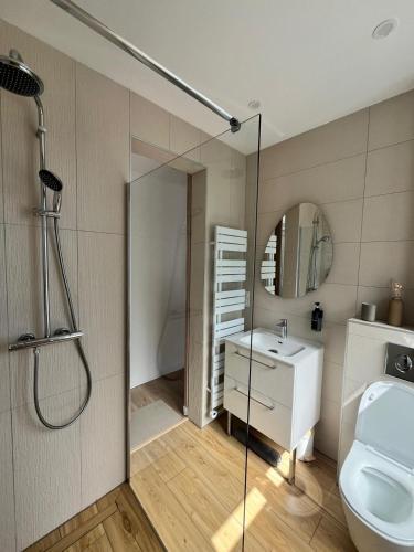 a bathroom with a shower and a toilet and a sink at Les Terrasses Sainte Odile - Centre ville - Climatisation - Parking Privatif - Gare in Obernai