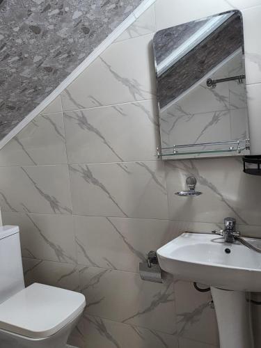 a bathroom with a sink and a mirror and a toilet at Tsikhisdziri Panorama Cottage in Kobuleti