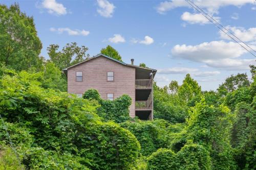 Tennessee Lodge photo 38