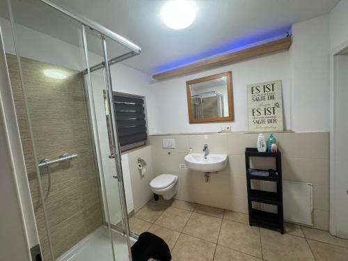 a bathroom with a shower and a toilet and a sink at BaumTraum in Fürthen