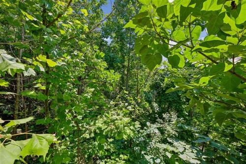 Tennessee Lodge photo 78