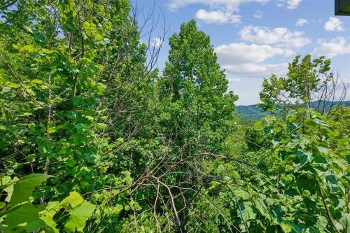 Tennessee Lodge photo 99
