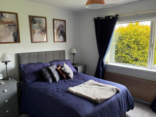 a bedroom with a purple bed with pillows and a window at Loughshore, Large Detached House, Jordanstown in Newtownabbey