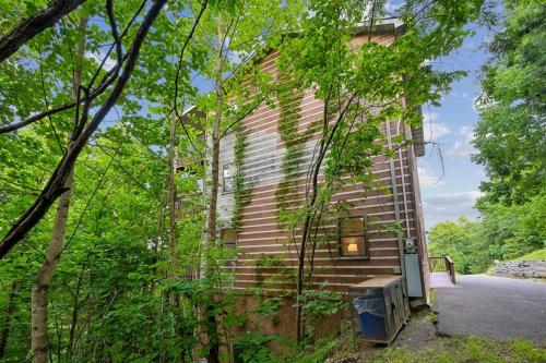 Tennessee Lodge photo 133