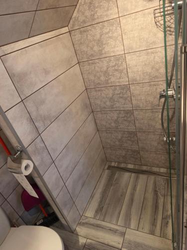 a bathroom with a shower and a toilet at Domek Rosa in Bachlowa