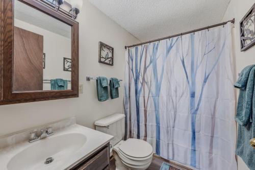 a bathroom with a toilet and a sink and a mirror at Woods Song -- Hot Tub - Pet Friendly - Wifi - King Bed - Woods Resort - Golf Nearby - Pool Pass - Spa - Grill - Fireplace in Hedgesville