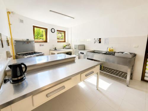 a large kitchen with stainless steel counter tops at Vila Emerald Residence in Râşnov
