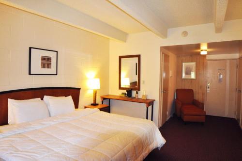 um quarto de hotel com uma cama e uma cadeira em Monarch Mountain Lodge em Monarch