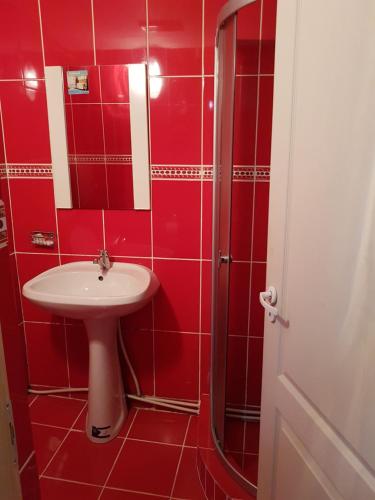 a red tiled bathroom with a sink and a shower at Csikos Apartment in Cluj-Napoca