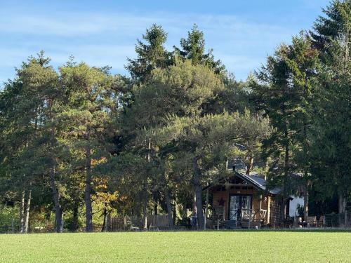 a house in the middle of a field with trees at Pinetree Lodge, Cotswolds in Mickleton