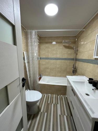 a bathroom with a tub and a toilet and a sink at Apartament Uricani in Uricani