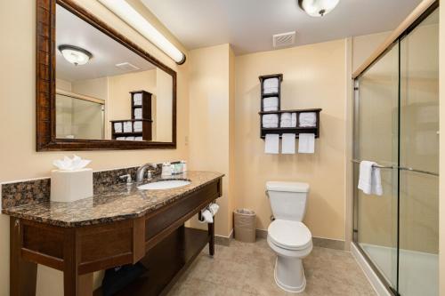 a bathroom with a toilet and a sink and a mirror at Pier House 60 Clearwater Beach Marina Hotel in Clearwater Beach