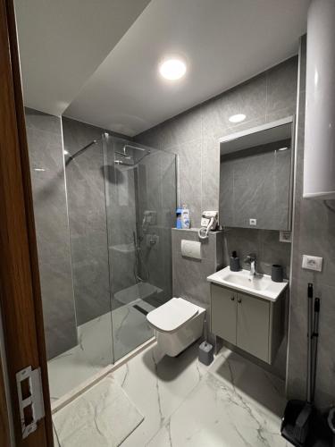 a bathroom with a shower and a toilet and a sink at Apartments Aroma in Tomba