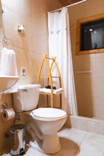 a bathroom with a toilet and a shower at Cabañas en neltume in Neltume