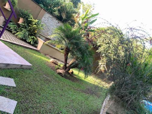 a palm tree in a yard next to a building at Casa Vista in Loango