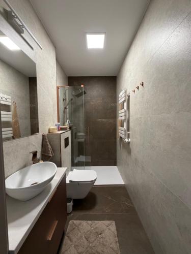 a bathroom with a sink and a toilet and a shower at Apartament Kaszmirowy in Nysa